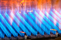 Berwick gas fired boilers